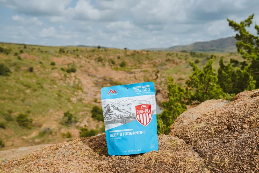 Mountain House Beef Stroganoff Pro-Pak - 1 Serving - None 6 Mountain House Beef Stroganoff Pro-Pak - 1 Serving - None - Image 4