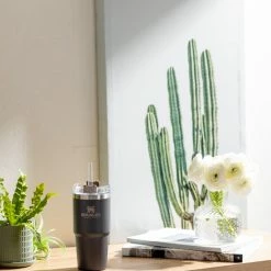 Stanley Adventure Vacuum Quencher Travel Tumbler - 14 fl. oz. - Coal 10 Stanley Adventure Vacuum Quencher Travel Tumbler - 14 fl. oz. - Coal -Cheap Hike Harbor Store 9d4648eb 1a9e 49e5 ac28 61212ce42440