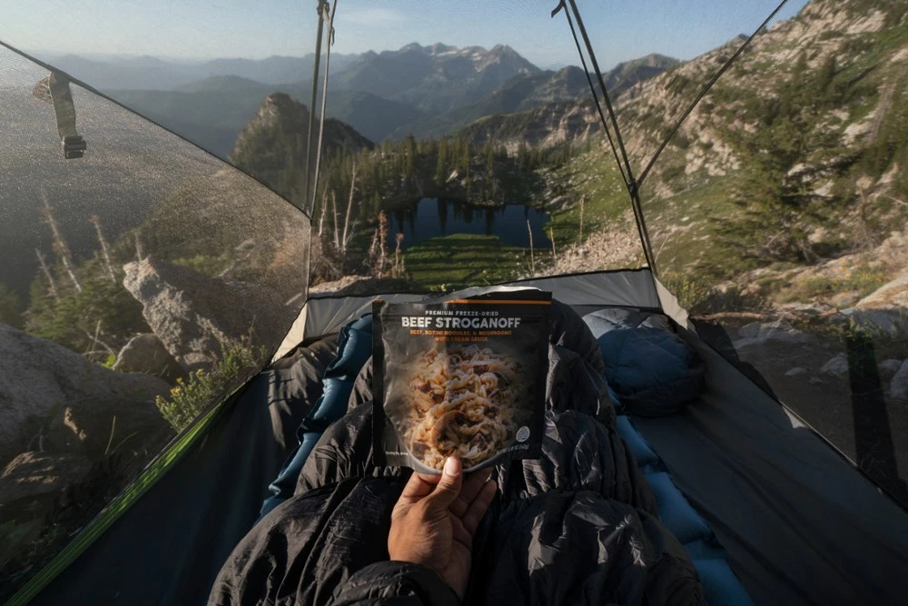 PEAK REFUEL Beef Stroganoff - 2 Servings 4 PEAK REFUEL Beef Stroganoff - 2 Servings - Image 2