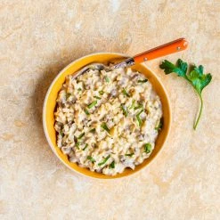 Mountain House Classic Beef Stroganoff - 3 Servings -Cheap Hike Harbor Store d8442c5f f613 40c6 997f eda6553cfe55