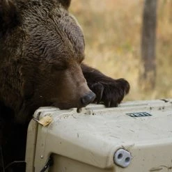 YETI Tundra 65 Cooler -Cheap Hike Harbor Store e6d09686 2ee2 4356 8312 f08074622b07